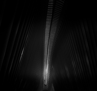 Light Serpent of the Oculus Light Serpent of the Oculus