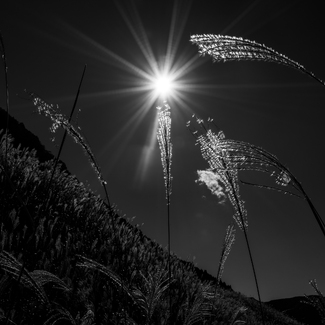 Let there be light Let there be light