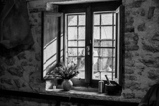 Letting The Light In Letting The Light In