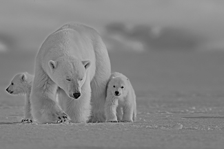 Family affaris  Family affaris