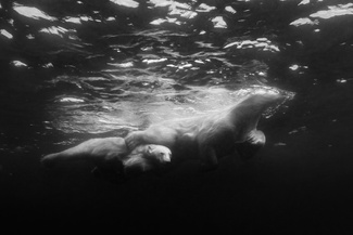 Lean on me Lean on me