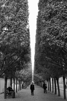 Divided Thoughts, Paris Divided Thoughts, Paris