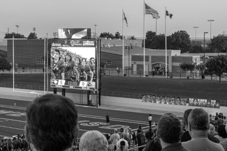 Big tree, deep roots Big tree, deep roots