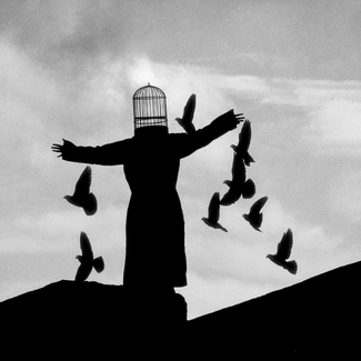 Ode to freedom Ode to freedom