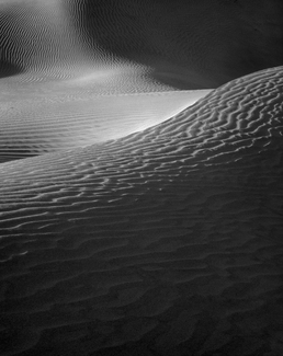 Sand Dune Sand Dune