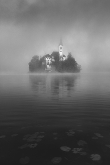 She Has a Tale to Tell She Has a Tale to Tell