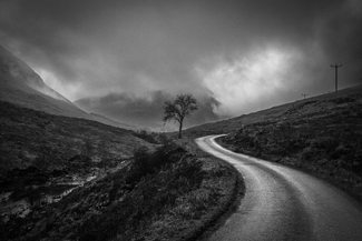 Lone Tree, Glen Etive Lone Tree, Glen Etive