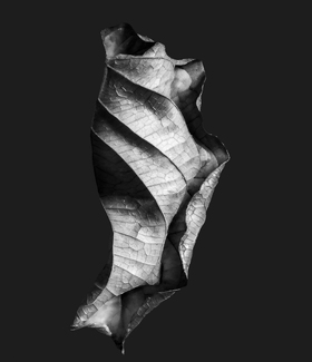 Second Creation #121 Second Creation #121