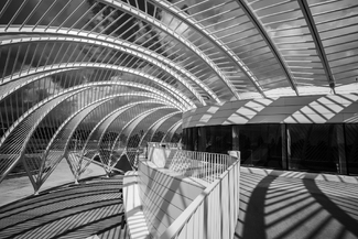 Curves and Shadows Curves and Shadows