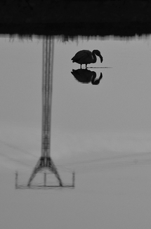 Danger Reflected Danger Reflected