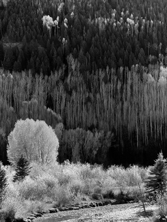 Silverton Fall Silverton Fall