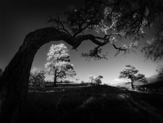 Tunnel Survivor Tunnel Survivor