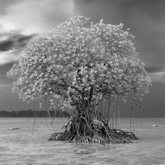 Seeking Silence Seeking Silence