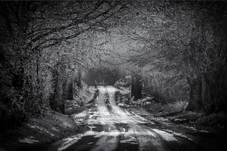 Icy Byway