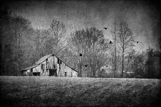 Diminishing Returns Diminishing Returns