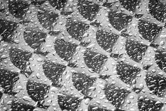 Afternoon Rain Afternoon Rain