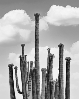 Standing for Something Standing for Something