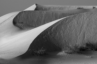 Dunes in the Early Morning Sun Dunes in the Early Morning Sun