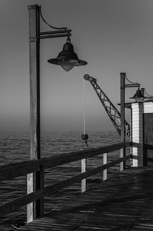 Crane, Historic Pier, Swakkopmund, Namibia Crane, Historic Pier, Swakkopmund, Namibia