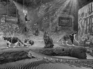 Sweet Cats Railways Station Sweet Cats Railways Station