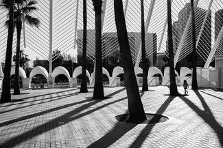 Little Girl Little Girl