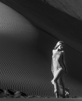 Dune Beauty