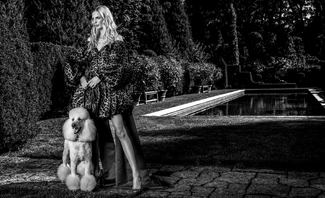 Mansion Life Mansion Life