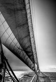 Sails Sails
