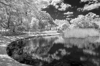 Afternoon at the Museum Afternoon at the Museum