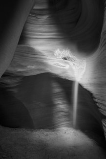 Shadows Secluded Shadows Secluded