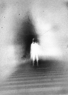 My Conscious was taking it seriously My Conscious was taking it seriously