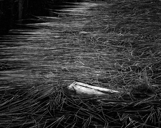 Floating Door to the Darkness Floating Door to the Darkness