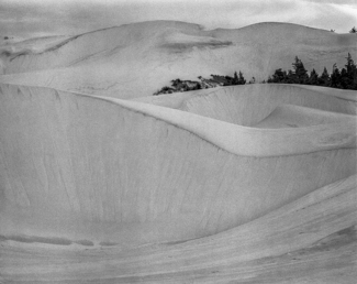 Oregon Coast Sand Dunes