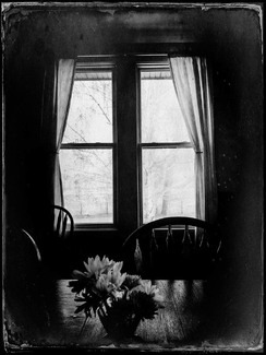 Looking Out the Dining Room Window Looking Out the Dining Room Window