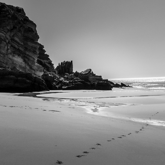 Vicentine Coast Vicentine Coast