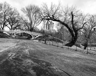 Central Park I  Central Park I