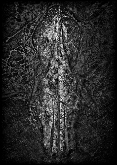 Resurrecting Earth Resurrecting Earth
