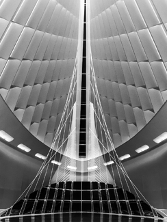 Santiago's Bones Santiago's Bones