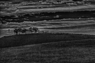 From the Road Side From the Road Side