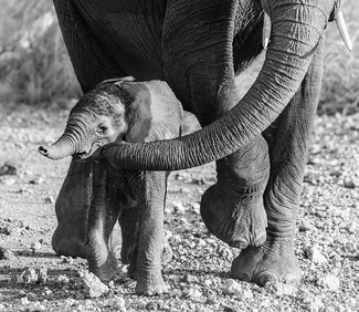 Light Touch Light Touch