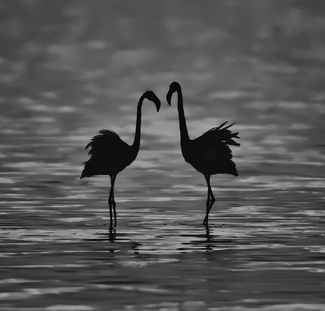 Face to face Face to face