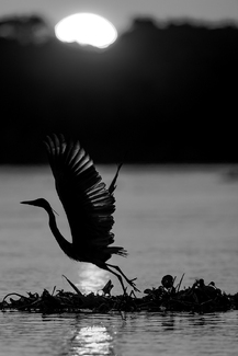 Morning take off Morning take off