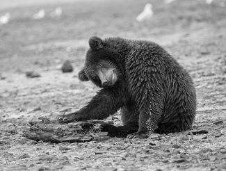 WHAT TO DO  WHAT TO DO