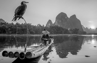 Cormorant Fisherman Cormorant Fisherman