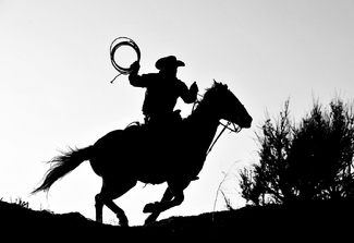 Cowboy Silhouette Cowboy Silhouette