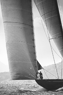 Lionheart Reaching Lionheart Reaching