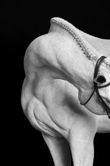 Etched in Stone Etched in Stone