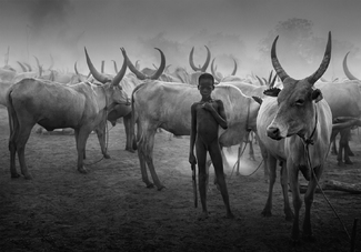 Lapis at Dusk Lapis at Dusk