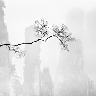 Ink Landscape 1 Ink Landscape 1