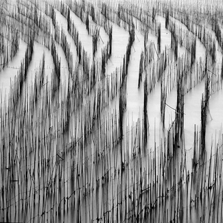 Abstract Landscape Study 1 Abstract Landscape Study 1